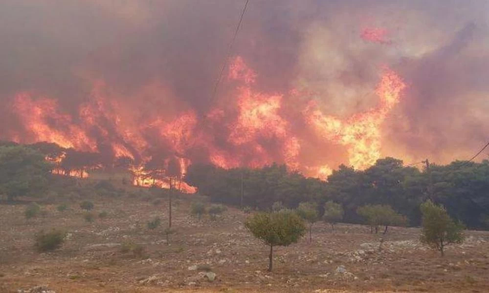 Σε πύρινο κλοιό η Ηλεία – Νέα φωτιά στην Ανδρίτσαινα